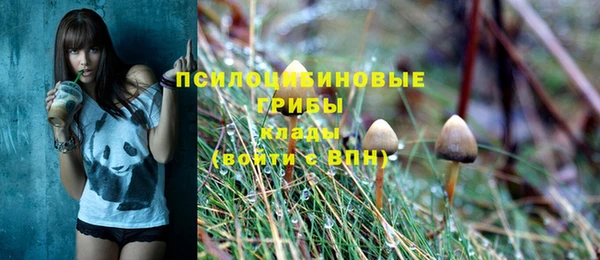 бутират Горно-Алтайск